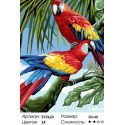 Красный ара Раскраска картина по номерам на холсте