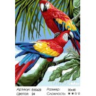 Количество цветов и сложность Красный ара Раскраска картина по номерам на холсте