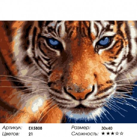 Количество цветов и сложность Голубоглазый тигр Раскраска картина по номерам на холсте