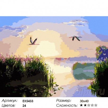Количество цветов и сложность Аисты на рассвете Раскраска картина по номерам на холсте