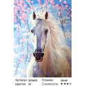 Белая лошадь Раскраска картина по номерам на холсте