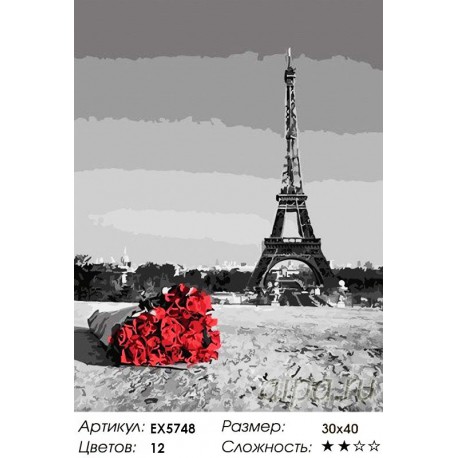 Количество цветов и сложность Букет из Парижа Раскраска картина по номерам на холсте