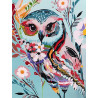 Волшебная сова Раскраска - открытка по номерам с декором Color Kit
