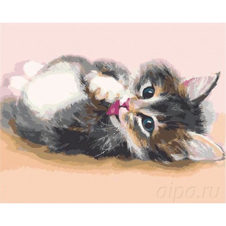 Милый котенок Раскраска картина по номерам на холсте Menglei