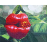 Цветочный поцелуй Алмазная картина-раскраска Color Kit