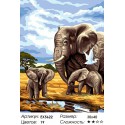 Слоны Раскраска картина по номерам на холсте