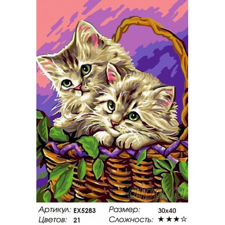 Количество цветов и сложность Котята на пикнике Раскраска картина по номерам на холсте