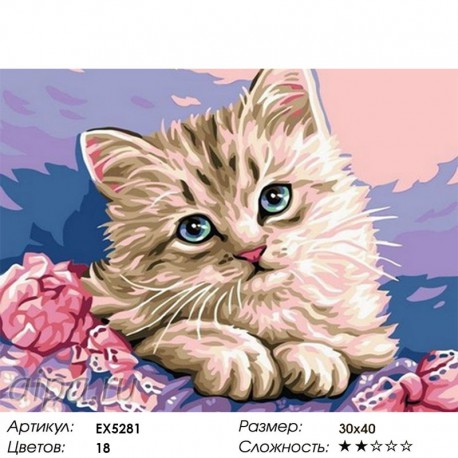 Количество цветов и сложность Голубоглазый котенок Раскраска картина по номерам на холсте