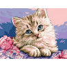 Голубоглазый котенок Раскраска картина по номерам на холсте