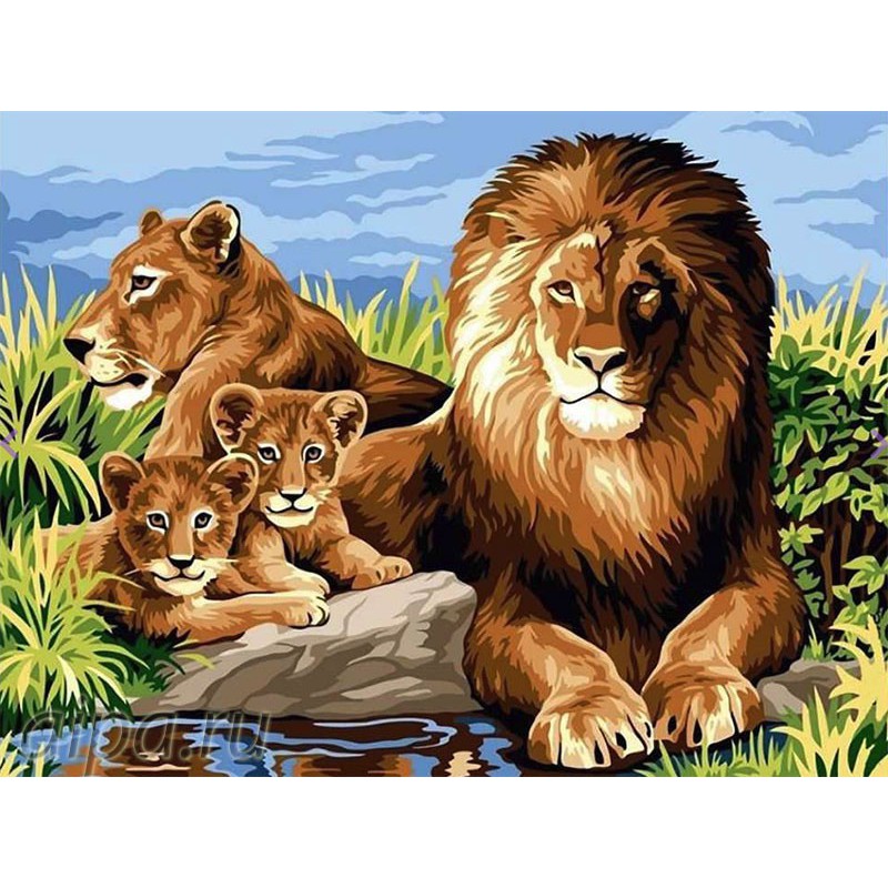 Алмазная картина-раскраска - Семья львов