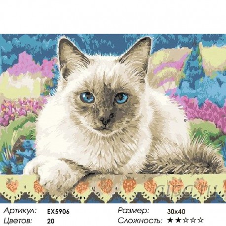Количество цветов и сложность Тайская кошка Раскраска картина по номерам на холсте