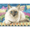 Тайская кошка Раскраска картина по номерам на холсте