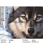 Количество цветов и сложность Взгляд волка Раскраска картина по номерам на холсте