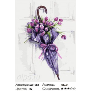 Количество цветов и сложность Цветочный зонт Раскраска по номерам на холсте Menglei