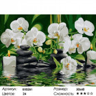 Белые орхидеи Раскраска картина по номерам на холсте