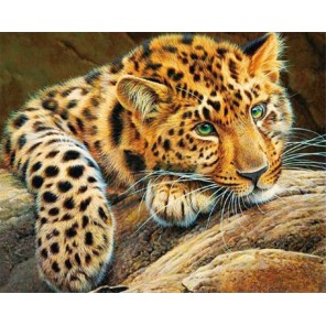 Африканский леопард Алмазная мозаика на подрамнике