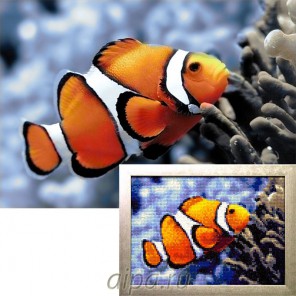 Рыбка-клоун Алмазная вышивка мозаика Гранни