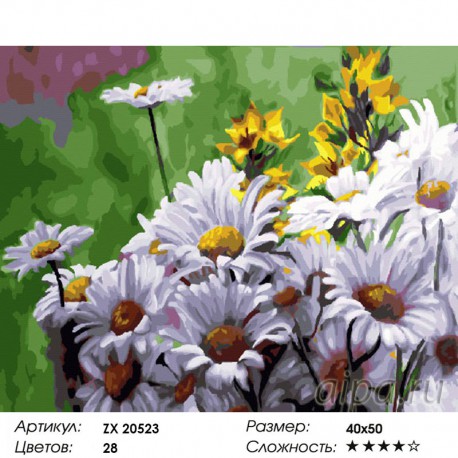 Количество цветов и сложность Летние ромашки Раскраска картина по номерам на холсте