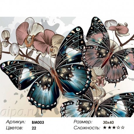 Сложность и количество красок Бабочки и орхидеи Раскраска - открытка по номерам с декором Color Kit BM003