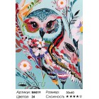 Количество красок и сложность Волшебная сова Раскраска - открытка по номерам с декором Color Kit