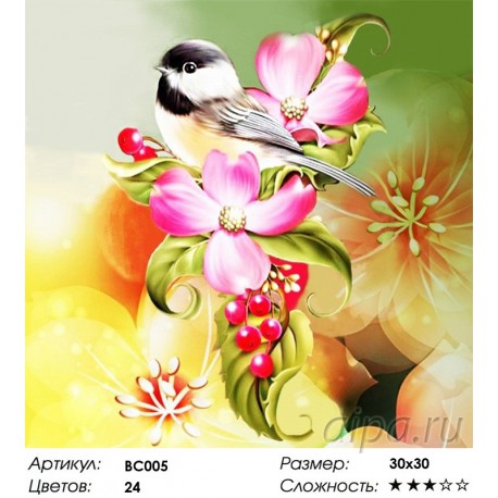 Сложность и количество цветов Милая птичка Раскраска - открытка по номерам с декором Color Kit