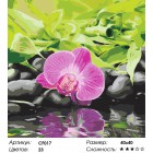 Сложность и количество цветов Розовое отражение Раскраска по номерам на холсте Color Kit CF017