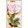 Пример оформления в рамке Нежная роза Канва с рисунком для вышивки бисером Конек 9488