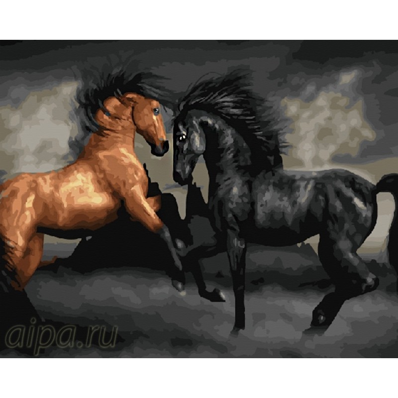 GX22178 Топот копыт Раскраска картина по номерам на холсте