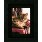  Relaxed Tabby Набор для вышивания LanArte PN-0021762