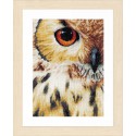 Owl Набор для вышивания LanArte