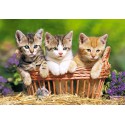 Три котенка Пазлы Castorland