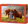 Коробка-упаковка набора Лошади Пазлы Castorland B52509