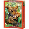 Внешний вид коробки Ягуар на дереве Пазлы Castorland C151493