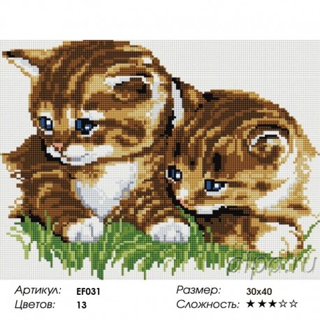 Сложность и количество цветов Два котенка Алмазная мозаика вышивка на подрамнике EF031