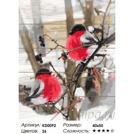 Сложность и количество цветов Дыхание зимы Картина по номерам на дереве KD0092