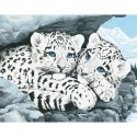 Детеныши снежного леопарда Раскраска (картина) по номерам Dimensions 
