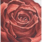  Красная роза Набор для вышивания Permin 70-1150
