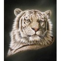 Портрет белого тигра Набор для вышивания Kustom Krafts