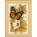 Бабочка на цветах I Набор для вышивания Vervaco