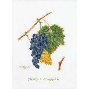  Виноград Набор для вышивания Thea Gouverneur 2086