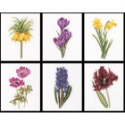  Шесть цветочных исследований канва лён 36 ct Набор для вышивания Thea Gouverneur 3083