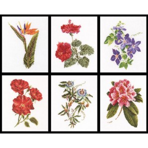  Шесть цветочных исследований Набор для вышивания Thea Gouverneur 3081