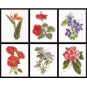 Шесть цветочных исследований Набор для вышивания Thea Gouverneur
