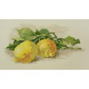 Ветка с лимонами Набор для вышивания Марья Искусница