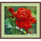 Красная роза Набор для вышивания бисером GALLA COLLECTION