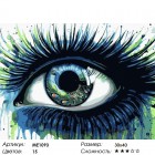 Количество цветов и сложность Павлиний глаз Раскраска картина по номерам на холсте Menglei ME1093