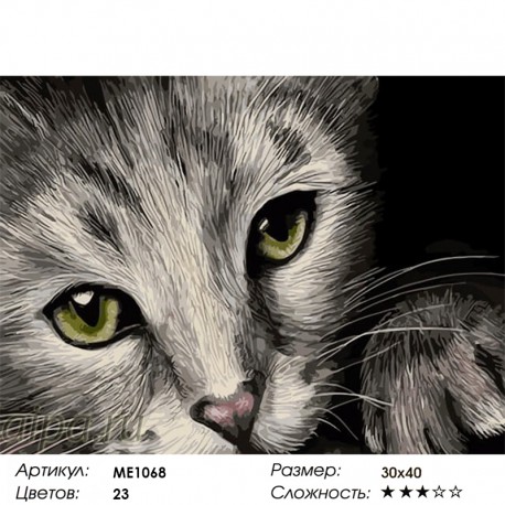 Количество цветов и сложность Зеленоглазый котик Раскраска картина по номерам на холсте Menglei ME1068