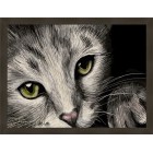 В рамке N181 Зеленоглазый котик Раскраска картина по номерам на холсте Menglei ME1068