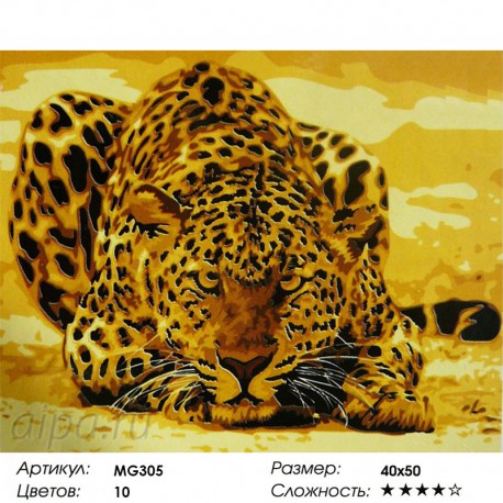 Количество цветов и сложность Леопард Раскраска по номерам на холсте Menglei