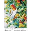 Птичка на яблоне Алмазная мозаика на подрамнике
